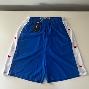 USA Embroidered Athletic Shorts - Krass and Co.